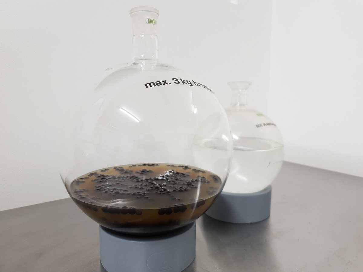 TeamCrazyCo's tweet photo. For those who ask 'Does Crazy Gin have Juniper?"
see our latest #Juniper #Distillation ๐๐ฝ
@TeamCrazyCo
@1crazysingh
#buchi #vacuumdistillation #rotovap #gin #CrazyGin #britishindian https://t.co/727Bdfz82G
