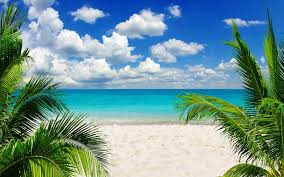 lulyrl's tweet photo. Para tu familia  #MareaResidencial #SLSCancun #SLSMarinaBeach #SLSHarbourBeach #Allure #Riva #NabaResidencial #PuertoCancun #playas #ludoteca #pets #enjoy #dayoff #friends #instagram #instaday #picoftheday #naturaleza #diversión #caribe #surfing #arena #mascota #sol #casaclub https://t.co/tbVCRzh1p4