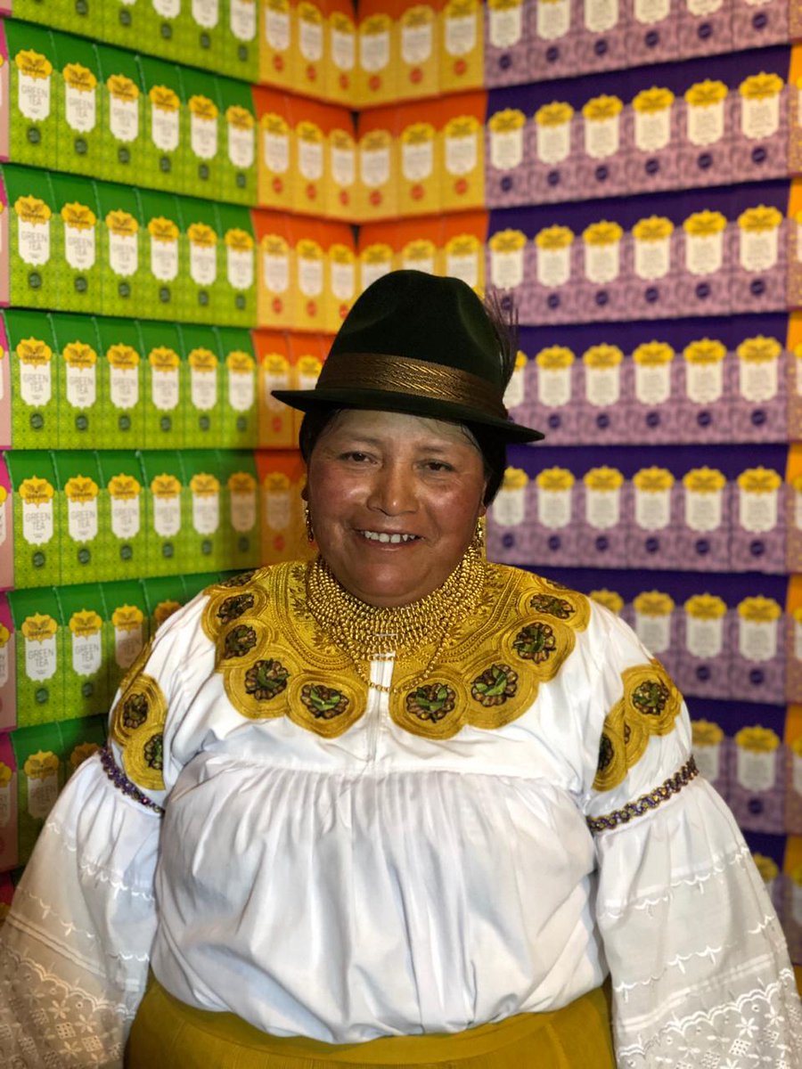 PNUD Ecuador tweet media