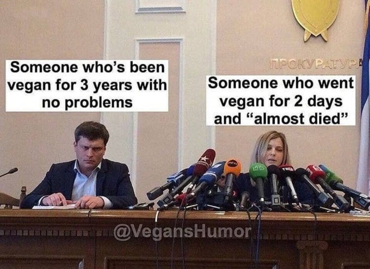 Vegan Problems tweet media