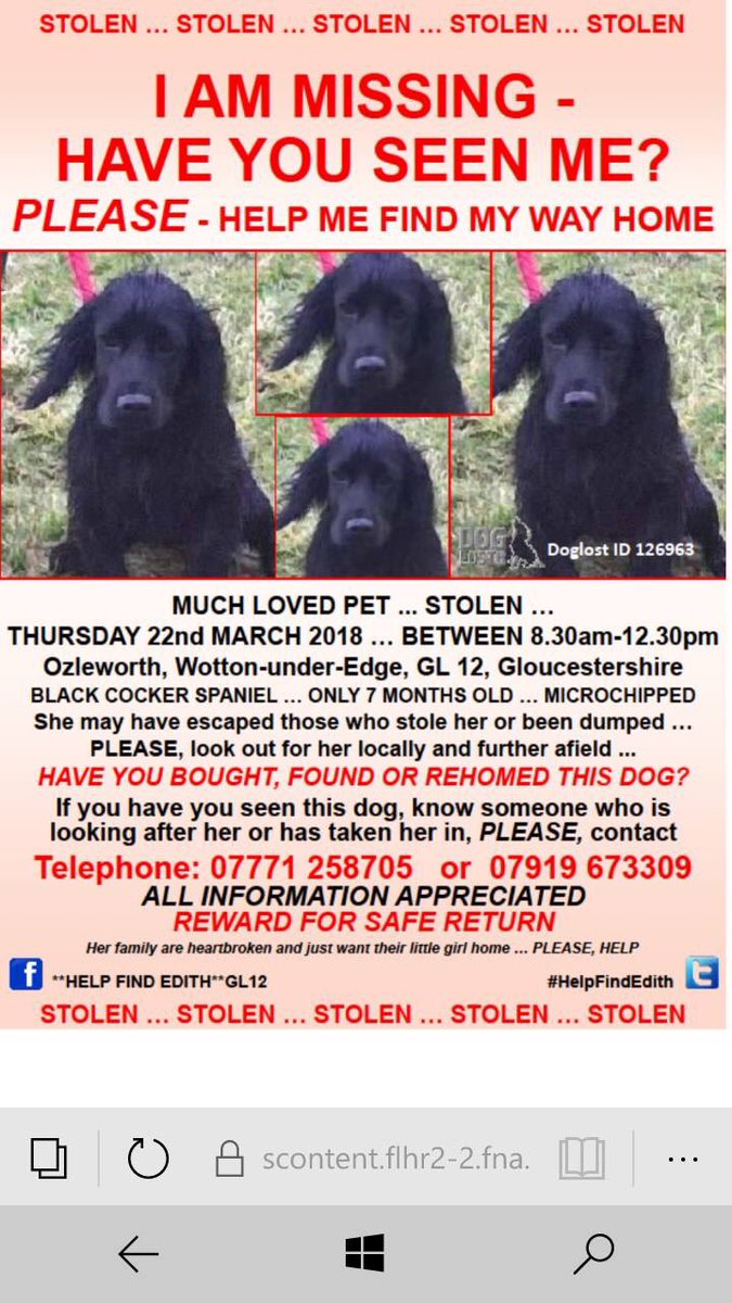 rosiedoc666's tweet photo. #findEdith #MISSING ONE YEAR 
💔EDITH WAS ONLY 7 MONTHS OLD WHEN SHE WAS STOLEN💔
Her family are completely heartbroken &amp; searching to find their sweet girl 😓 
#missing since 22/3/18 between 8.30-12.30pm from a lovely place #Ozleworth #WottonUnderEdge #GL12 WHERE IS EDITH? https://t.co/HyVUNMMxda