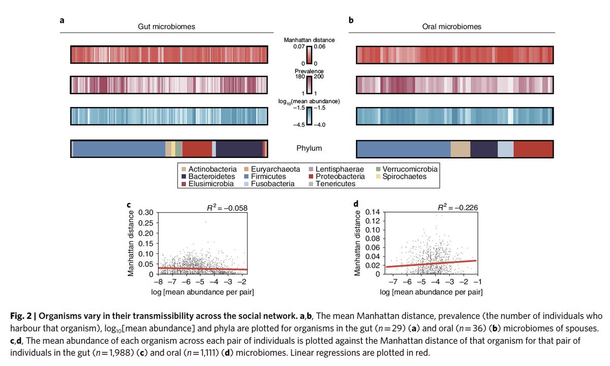 EricTopol's tweet photo. How our #microbiome is transmitted among our family and social network
https://t.co/GNuIz8C2Jx @NatureMicrobiol @Cornell @ilanabrito123 @ejalm @CornellBME @MITBiology @ThomasGurry as learned from a closed Fijian cohort https://t.co/SmxCP0NPe3