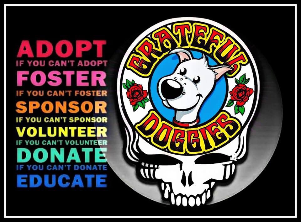 fat_man_rocks's tweet photo. ⚡️🐶⚡️ https://t.co/DEeTMGxKgN