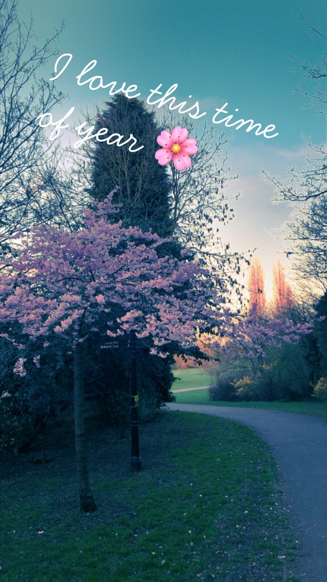 MrsLMHood's tweet photo. Spring is here! 🌸 Great to see the evenings getting lighter and people out in the park getting their #GreenGym time and looking after their #MentalHealth Looking forward to getting our #DofE students out &amp; about! 🌳 https://t.co/k4X4zuApLI