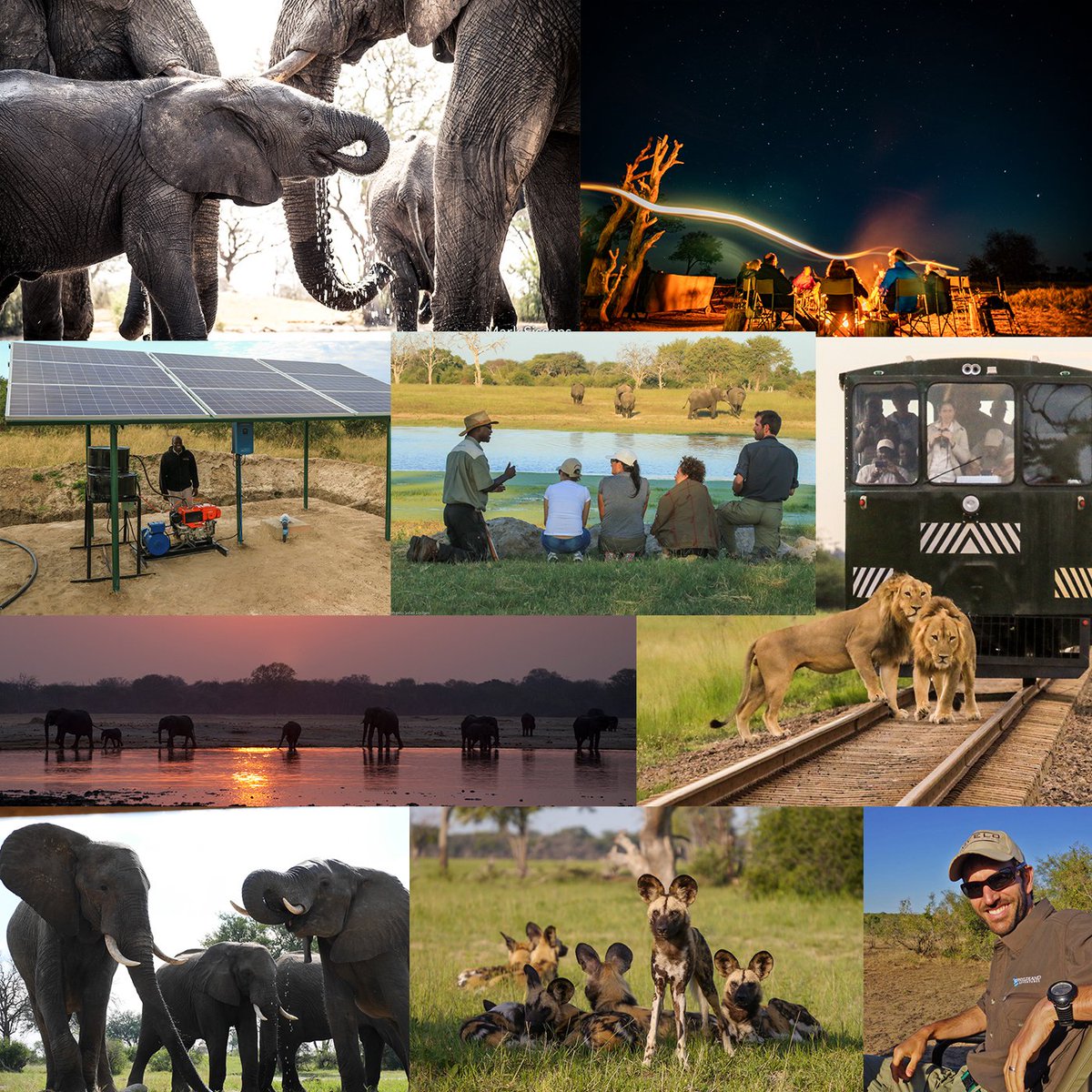 Give your lunch break some adventure tomorrow, March 26 @ 12:30 PM (PDT): bit.ly/2TAXOUv

Join our safari experts for a free 30-min webinar on our 2nd annual Water for Hwange Conservation Safari. #TravelTuesday #wildlifephotography #travelphotography