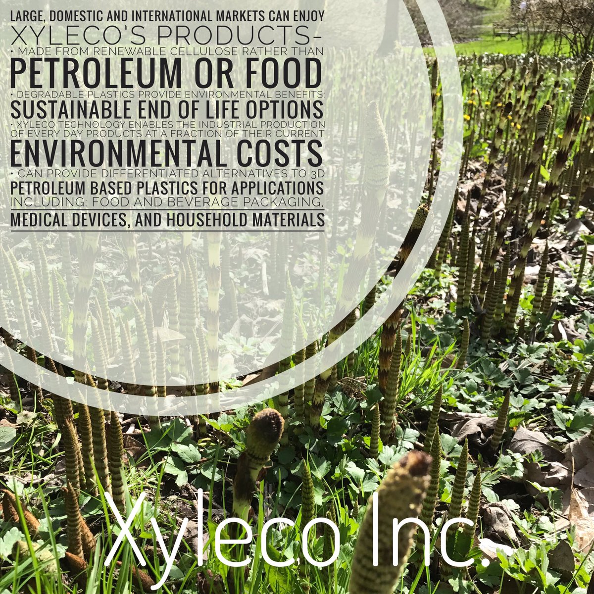 Xyleco, Inc. tweet media