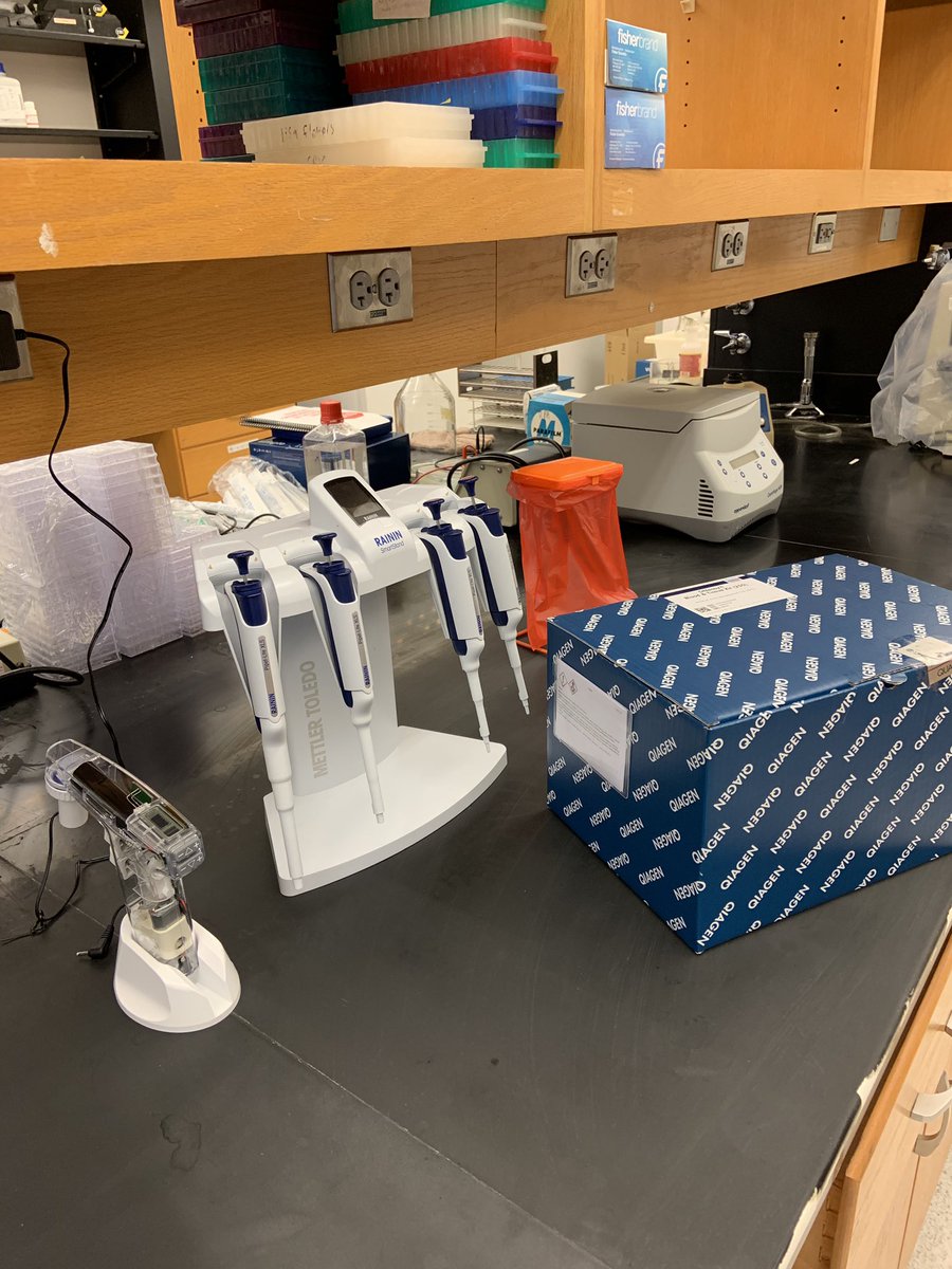 akknight216's tweet photo. I think once the pipettes come in, the lab is considered official! https://t.co/s8k8PxRa7H