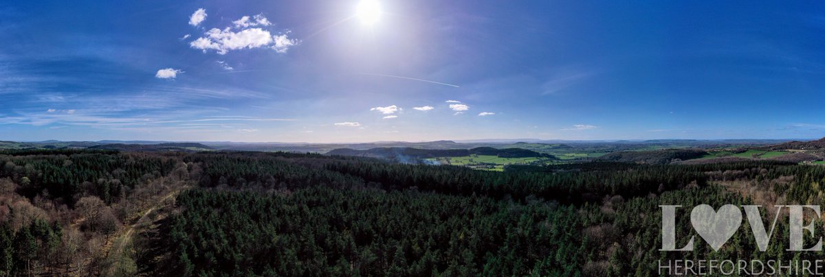 Haugh Woods.
loveherefordshire.com