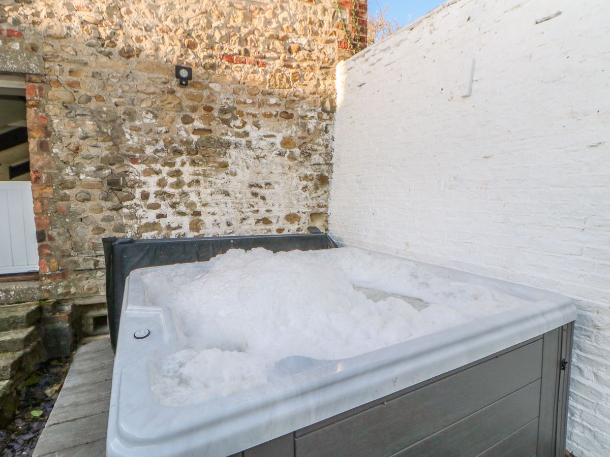 The Big Domain tweet media