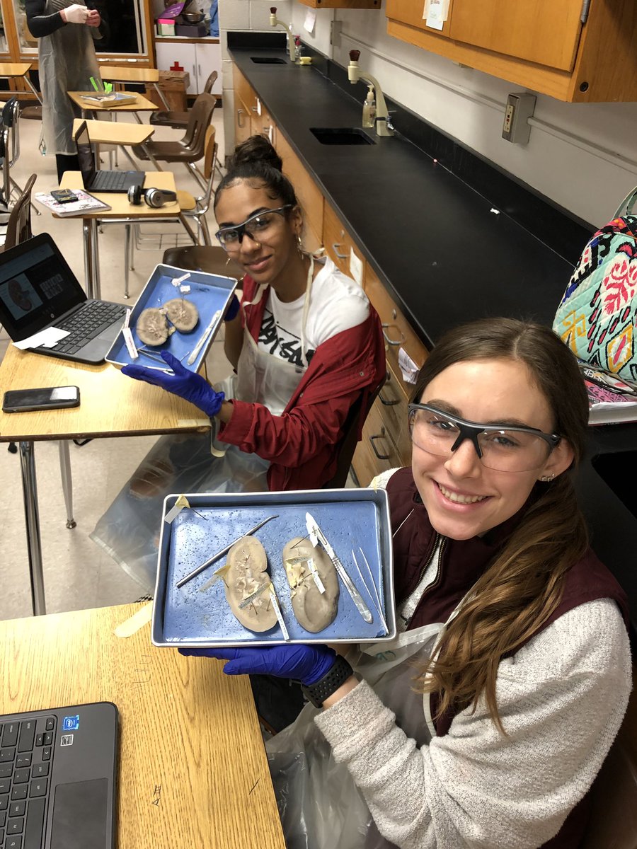 bioshemesh's tweet photo. #KidneyDissection in @PLTWorg body systems class today #TrumanScience #btsdtigers @CoachJonCraig https://t.co/ohpG8pyTZx