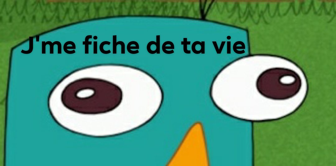 Perry tweet media