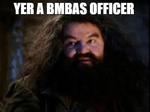 BauerMBASociety's tweet photo. BMBAS Election Updates - https://t.co/NzasnOdG5H https://t.co/mAjSYK0aFR