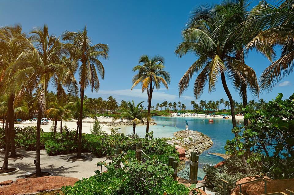 AzureEscapesUK's tweet photo. 7nt Miami, Caribbean &amp; Ocean Cay Wonders was £1099 NOW fr only £849 pp! 🇺🇸

📅 Departs 17th November 2019 
🛳 3nt full-board cruise aboard the MSC Meraviglia
🏨 FREE 4nt Miami stay worth £320 per couple!
Message for further information! https://t.co/tCiplOIbAc