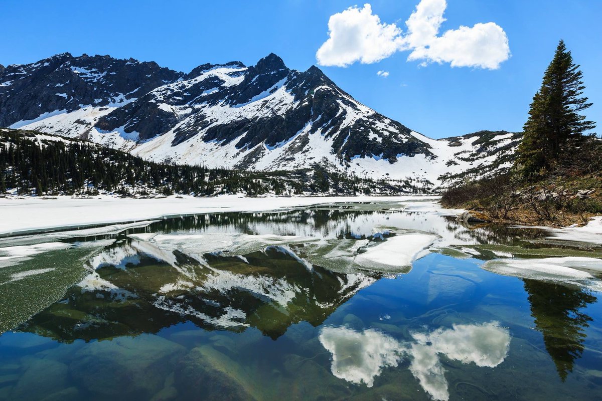 AzureEscapesUK's tweet photo. 11nt Iceland &amp; Alaska was £1969 NOW fr £1549pp! ❄️🧤

Message for further information!

📅 Departs 26th August 2019 
✈️ Includes return flights
⚓️ Visit Reykjavik, Anchorage, Seward, Hubbard Glacier, Juneau, Skagway, Icy Strait, Ketchikan, Inside Passage &amp; Vancouver https://t.co/l5FImyIhjm