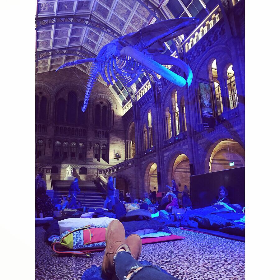 We survived a night at the Museum 🦖🦕🐋 #dinosnores #dinosnoresforgrownups #teamraptor💗#nightatthemuseum #pjs #camping #bluewhale #nighttimeexploring #exhibitions #jurassicpark #wineosaurs #bugeating #allnighter #bucketlist✔️ <a href="/NHM_London/">Natural History Museum</a>