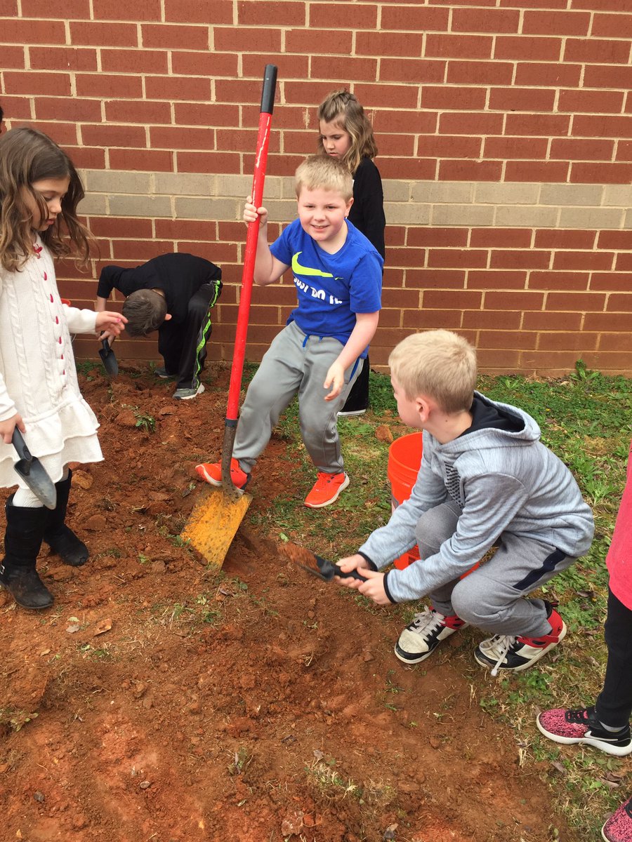 Tonya Fehrs tweet media