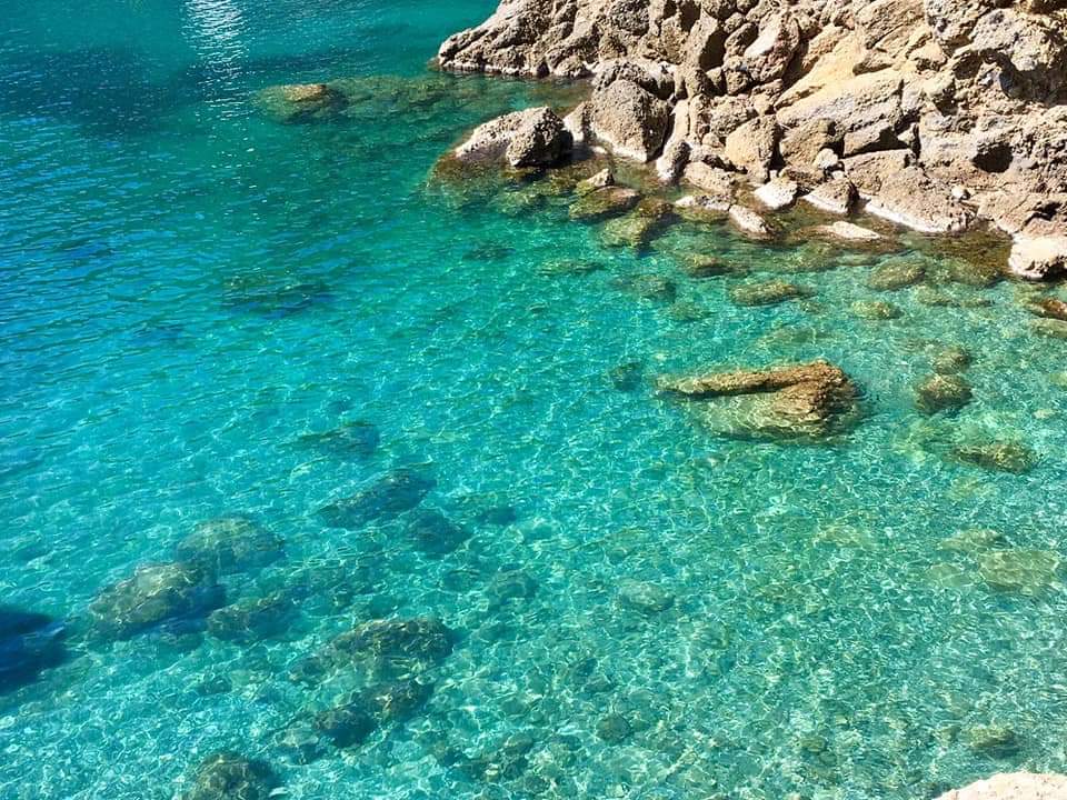 MiriamLadybug's tweet photo. #Liguria 24 Marzo 2019 #ItalianSpring https://t.co/RJquefjhKG