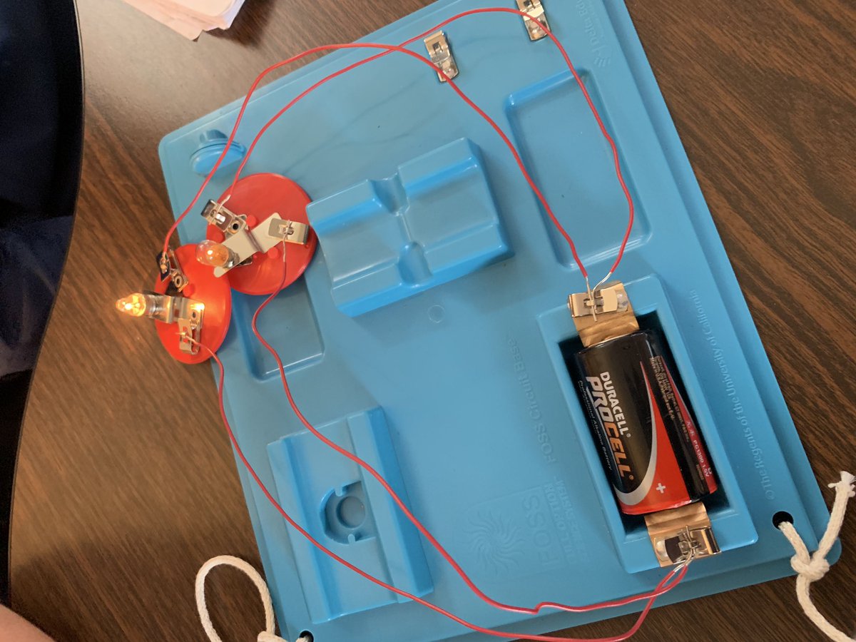 Perfect_Polars's tweet photo. Can you make two bulbs shine ๐ก ๐ก brightly with only one battery ๐? These groups can! #parallelcircuits #daringdolphins #cddolphins https://t.co/uqEYH56TaN