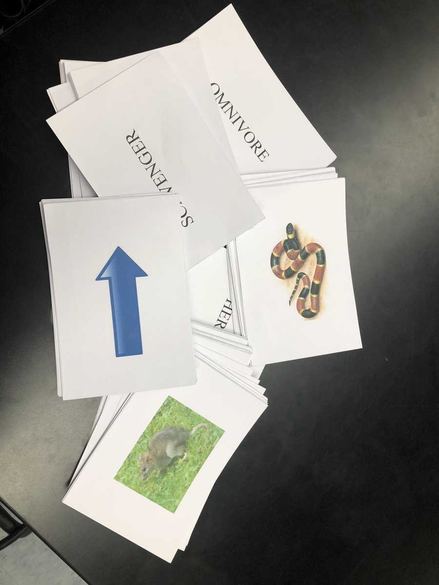 Today in 6th grade science we identified roles in an ecosystem, understood how energy flows through an ecosystem, and created our own food chain models labeling different consumers/etc. Discussion was great.👍🏻