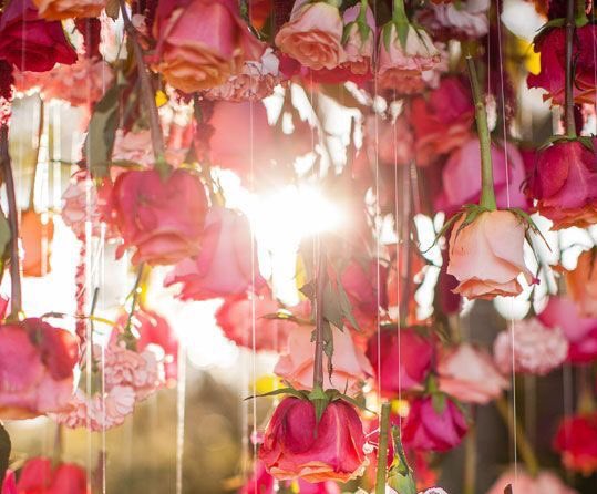 i’ll
     tell
            the stars
      about
you.
           
        #FairyXiuminDay 
        #HAPPYXIUMINDAY