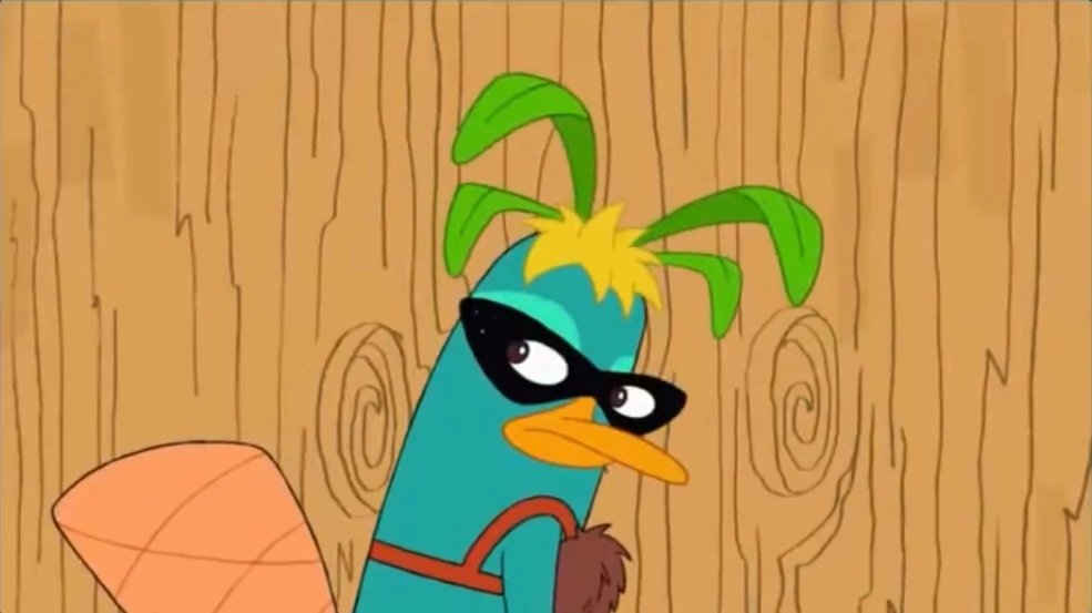 Perry tweet media