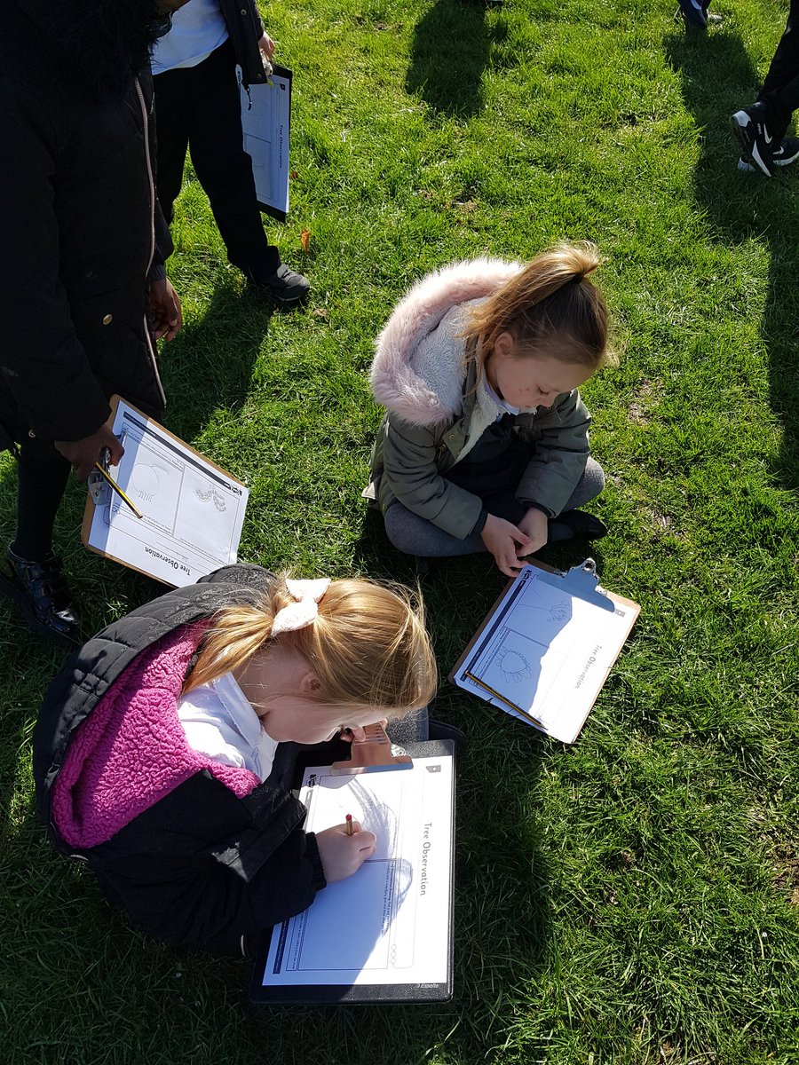 Windmill2J's tweet photo. A gloriously sunny day calls for learning outside the classroom where we completed observational drawings of trees 🌲🍀🌳☘ #MusicFederation https://t.co/kmt1d4h1za