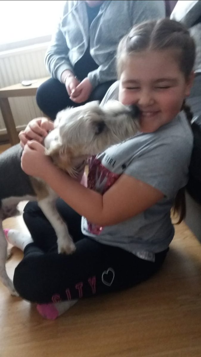DigsforDogsMcr's tweet photo. Kisses for Lola from holiday guest Ed #homeboarding #kennels #digsfordogs #Beiwer #dogsoftwitter https://t.co/7dxXHpZcv0