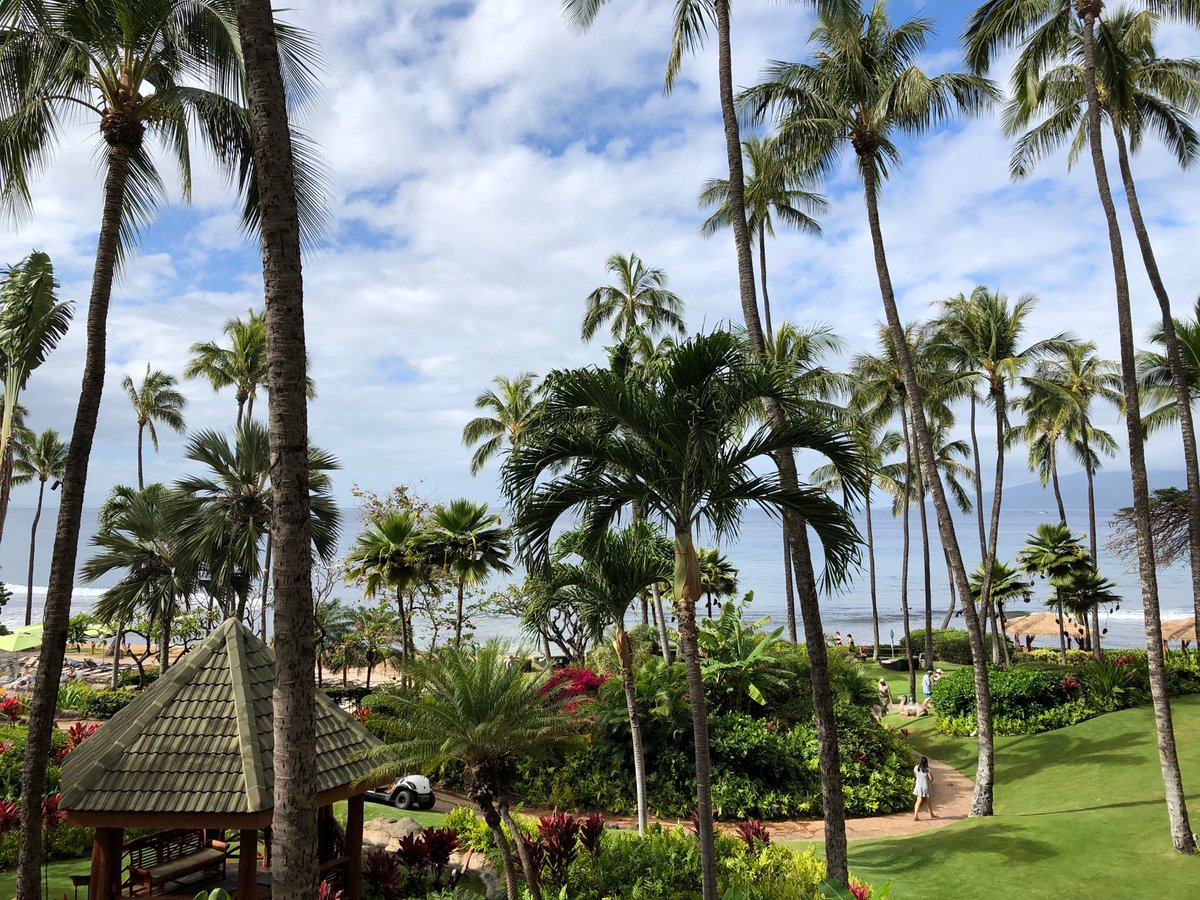 michaelandor's tweet photo. Last day in Maui.  Amazing... https://t.co/vwuWiStHL9