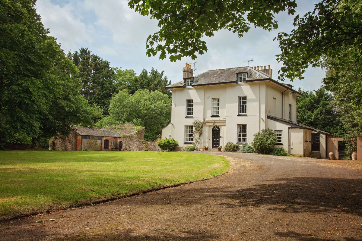 The Big Domain tweet media