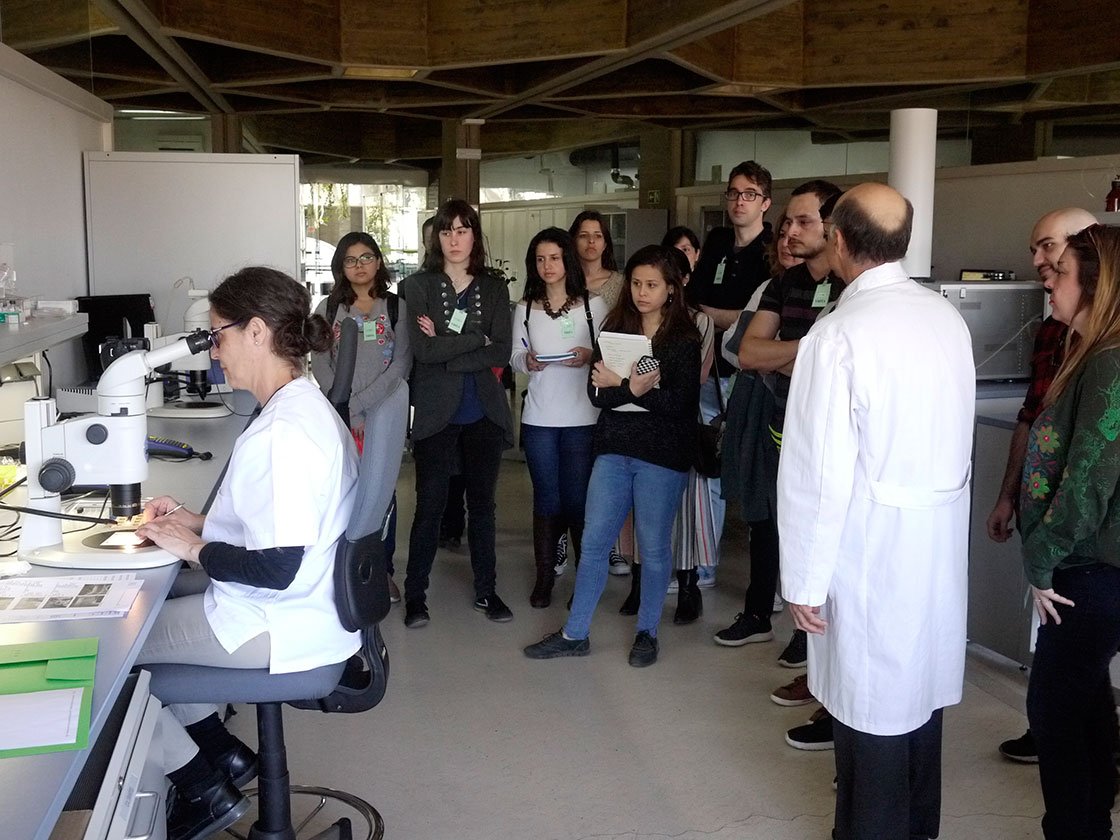 MasterMejorr's tweet photo. Hoy lunes 25 de marzo hemos realizado una visita al Instituto del Patrimonio Cultural de España (IPCE), en la que nos han enseñado los laboratorios, explicado las distintas técnicas de análisis, las técnicas de examen y nos han enseñado los archivos. https://t.co/ByQnTJG1vO