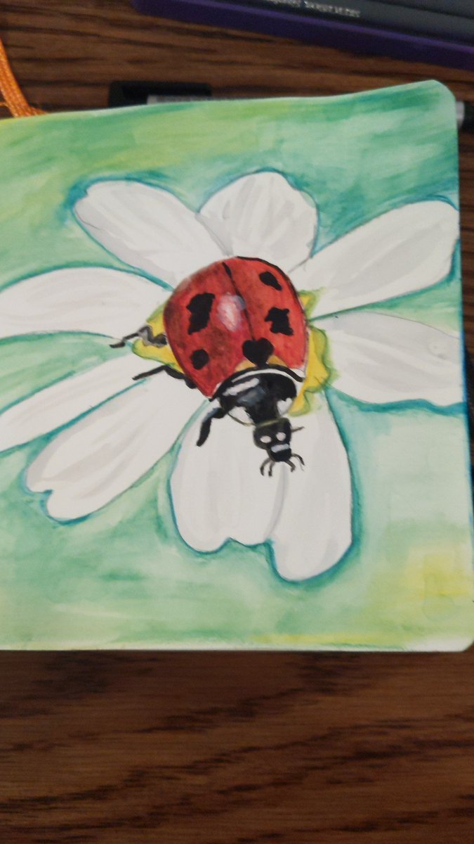 kristina_waner's tweet photo. Failing forward in my attempts to master watercolors.  Asking questions, reading books, watching videos all leading me closer to mastery.  Getting closer!  Great reminder of want my Ss go through everyday! #Learning #mychoicemayfield  #TeamWaner #Landerlove #futureMMSOurHouse https://t.co/szVyaKhqYD