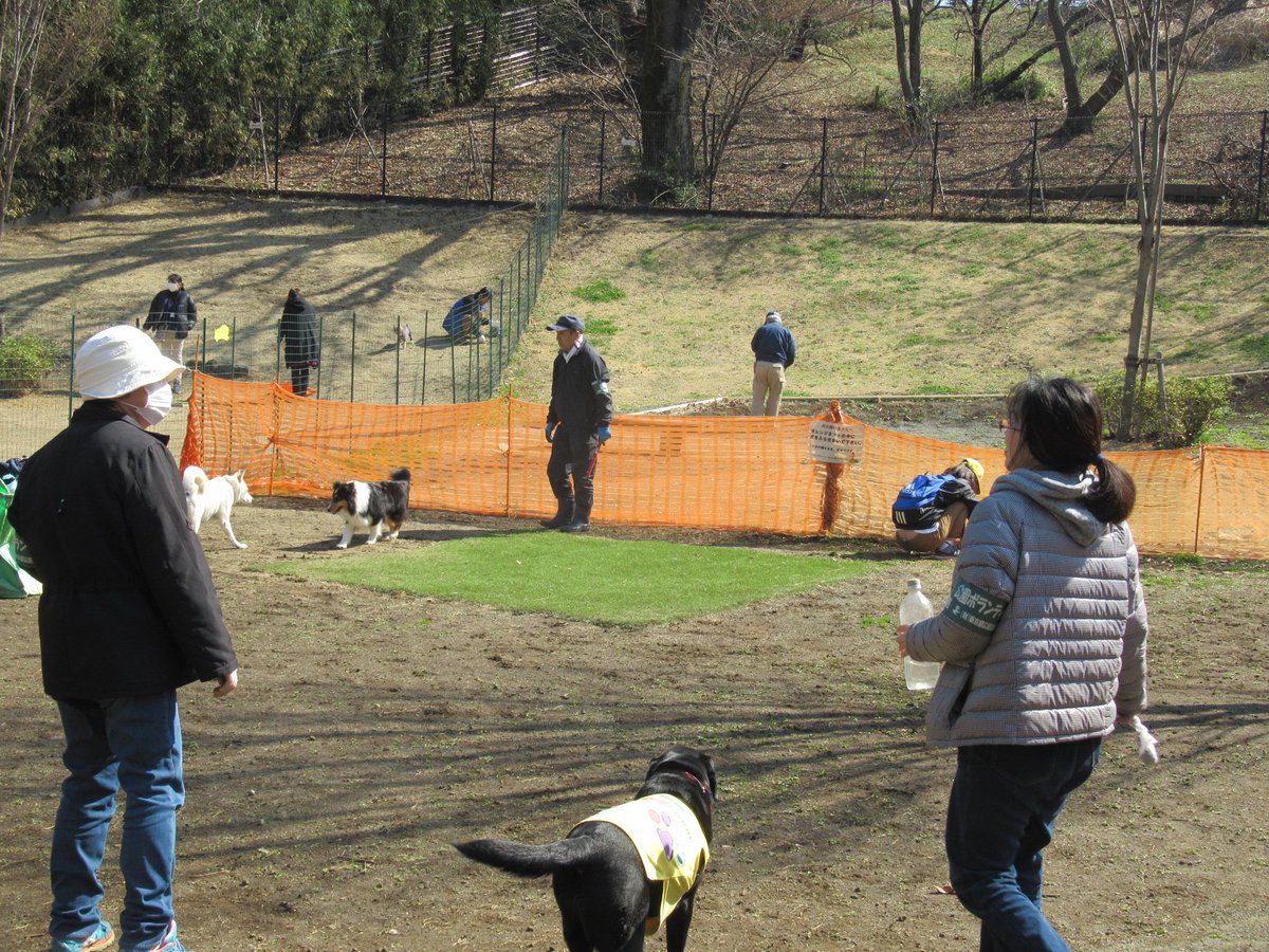 都立桜ヶ丘公園 على تويتر 桜ヶ丘公園 ドッグラン中 大型犬エリアは入口鍵を応急措置し ご利用いただけるようになりました ご協力ありがとうございました 桜ヶ丘公園 ドッグラン Sakuragaokapark