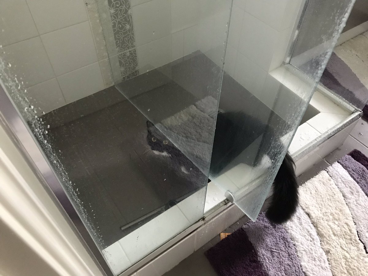 I know I shouldn’t be in the shower but ... #Amber