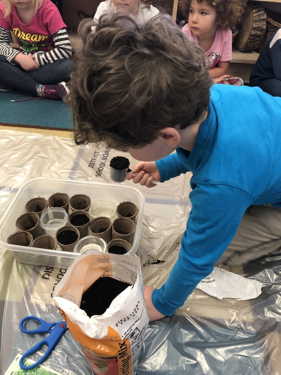 ErikaNelson2013's tweet photo. Our kinders are planting, watering and observing plant growth. #spring @WattPS https://t.co/YEsXwdRstb