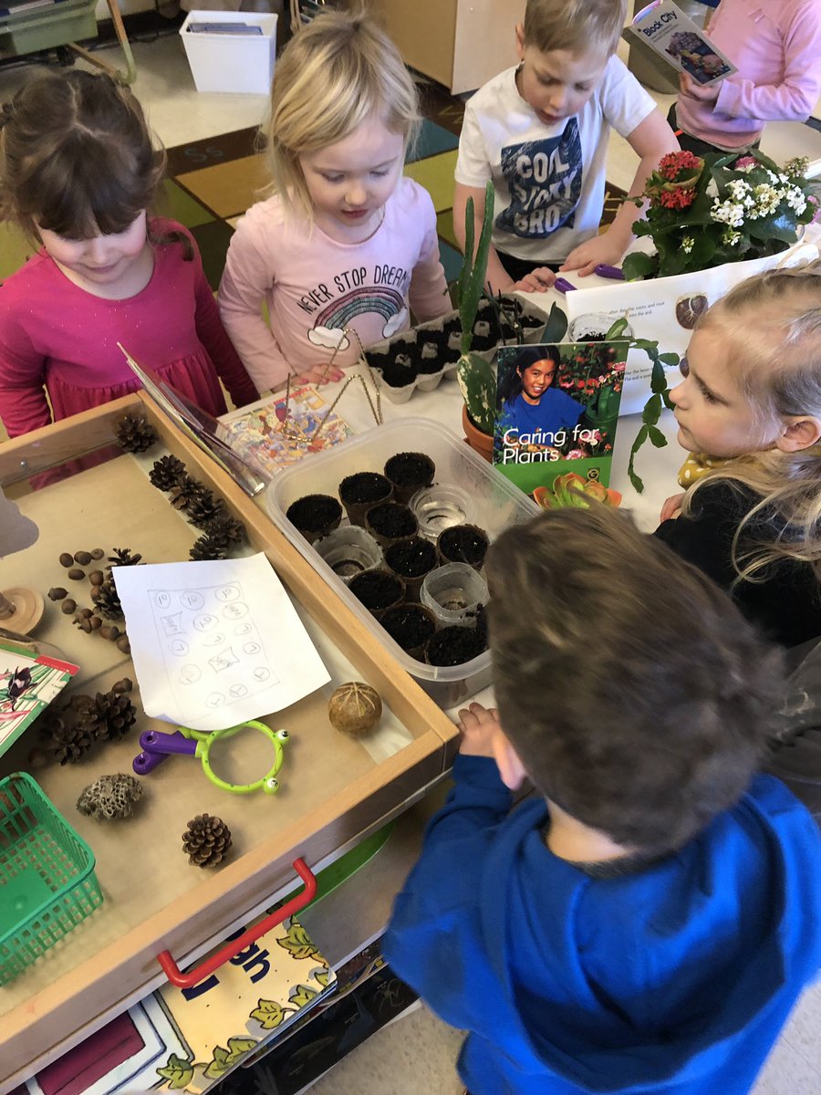 ErikaNelson2013's tweet photo. Our kinders are planting, watering and observing plant growth. #spring @WattPS https://t.co/YEsXwdRstb