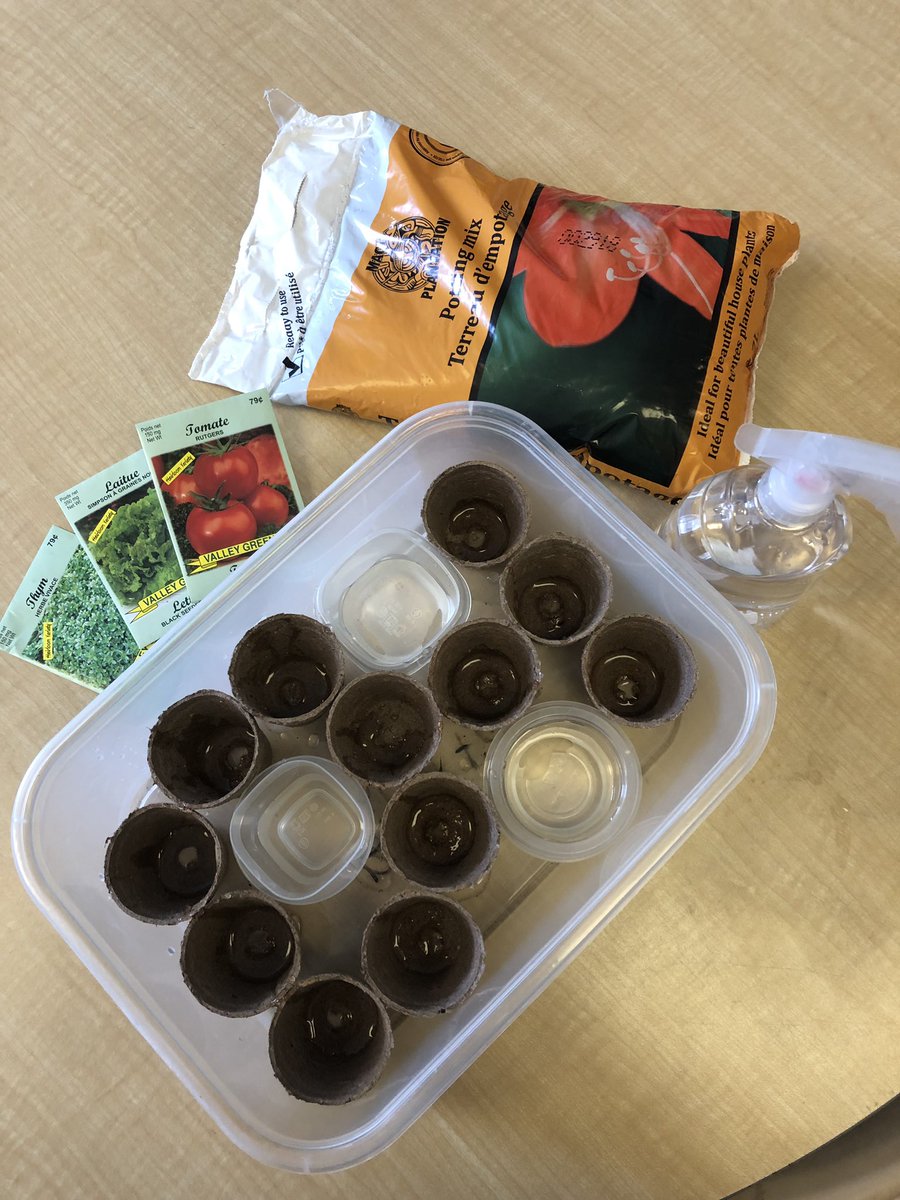 ErikaNelson2013's tweet photo. Our kinders are planting, watering and observing plant growth. #spring @WattPS https://t.co/YEsXwdRstb