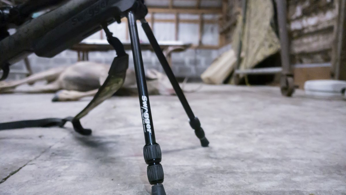 coyotecountrytv's tweet photo. When you’re looking for a versatile bipod you can take anywhere and hunt anything...Think Swagger! They’re simply amazing and will adjust to any hunting situation. 

#hunting #huntinglife #biopods #swaggerbipods #deerhunting #deerseason #deer #huntinggear #outdoors #rifle #rifles https://t.co/goI0WgvJ0I