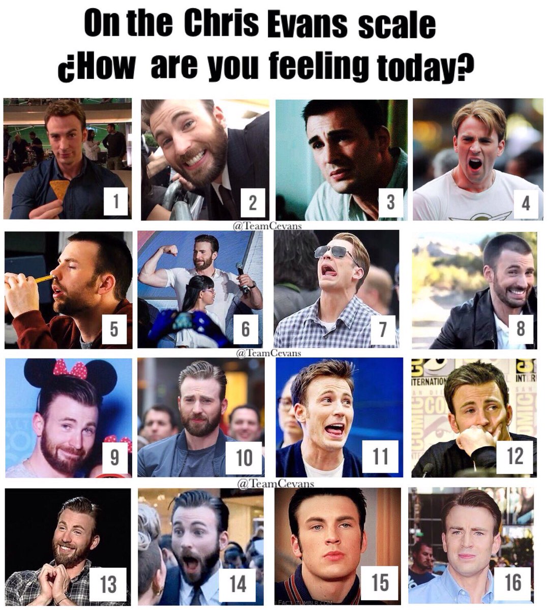 B Andherbooks And Many Thanks To The Creator Of This Meme Sorry I Don T Know Who And To My Amazon Photo Cloud For Face ging All My Saved Chris Photos T Co Km7xzqknda