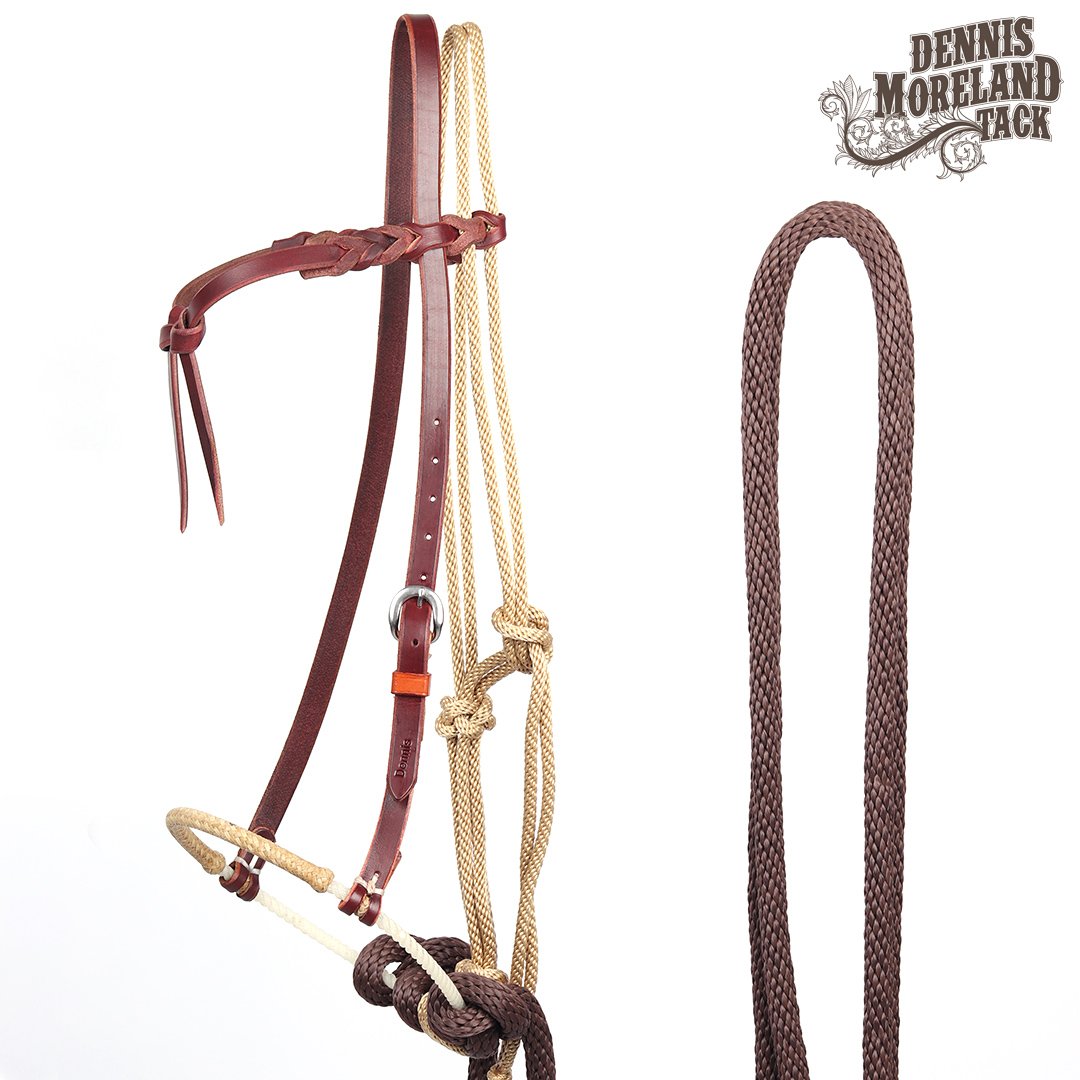 DmtackT's tweet photo. The tack you need to start your colts & train them right: https://t.co/iFCtF9357G
https://t.co/NKBia98JUw & https://t.co/aTT3tOPxN4
#horsetraining #tacktips https://t.co/w9UN6pdaB7