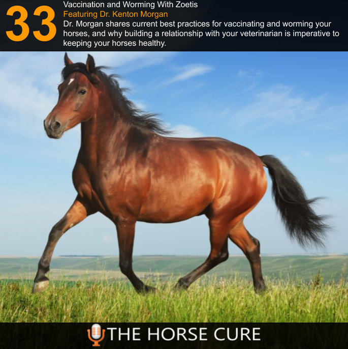 horsecurepod's tweet photo. Check out our latest episode with @Zoetis at https://t.co/m6Lsm2Jox5 
#Zoetis #HorseVaccination #Wormer #HorseHealth #TheHorseCure #HorsePodcast #QuestGelWormer https://t.co/mwuKQIjLvf