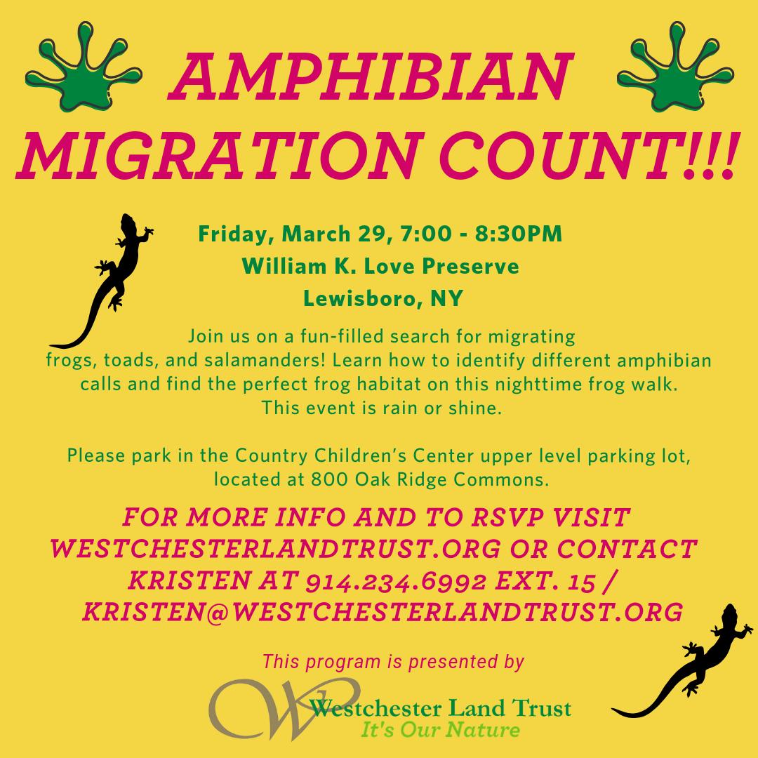 WLT_NY's tweet image. Jeepers, creepers, have you seen those #springpeepers? We have! We invite you to join us on Friday at WLT’s William K. Love Preserve as we search for migrating #amphibians during a family-friendly walk.  @westchestergov @GroundworkHV eventbrite.com/e/big-night-am…