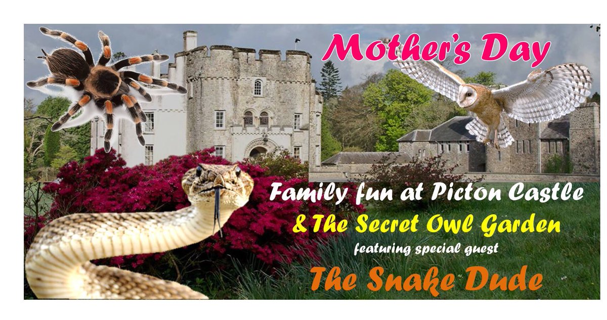 Mother’s Day fun <a href="/ThePictonCastle/">Picton Castle</a> 40 Acres of woodland garden, a guided tour of the castle, the largest collection of #owls in #Wales, amazing home cooked food <a href="/Mariasinpicton/">maria's@picton</a> AND The Snake Dude! <a href="/PembsHerald/">Pembrokeshire Herald</a> <a href="/StayPembs/">Stay Pembrokeshire</a> <a href="/VisitPembs/">Visit Pembrokeshire 🏴󠁧󠁢󠁷󠁬󠁳󠁿</a> @lovepembs <a href="/iLPembrokeshire/">iLovePembrokeshire</a> #MothersDay #daysout