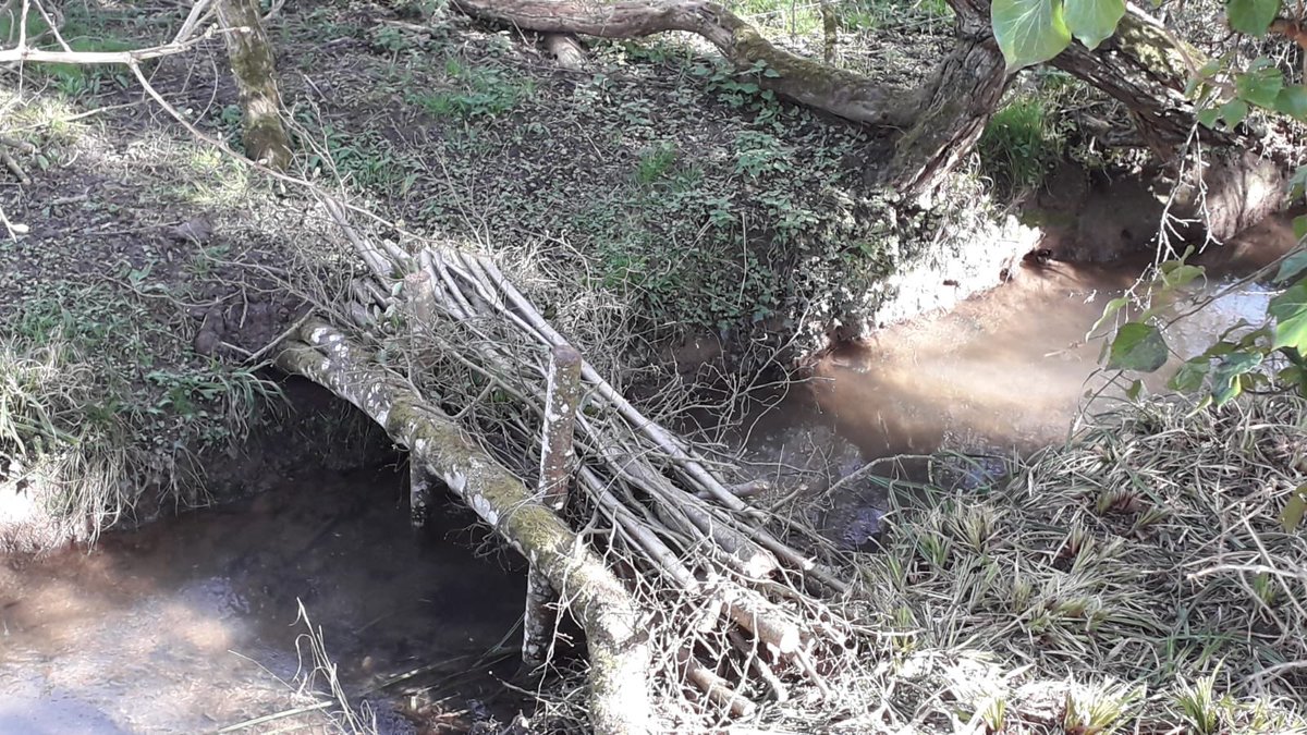 wendy_bufton's tweet photo. The first project is now complete on the Beesmoor Brook (tributary of the Isbourne). 8 leaky dams, of various varieties installed over a 500m stretch of watercourse. #nfm #naturalfloodmanagement #worcestershire #isbourne #slowtheflow @worcscc @DaveThroupEA https://t.co/EsPc5cAktz