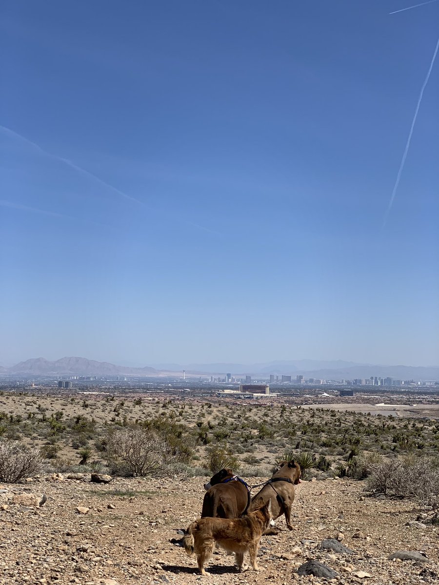 rsx333's tweet photo. Beautiful view over look Vegas ! https://t.co/3eLl4S7pXo