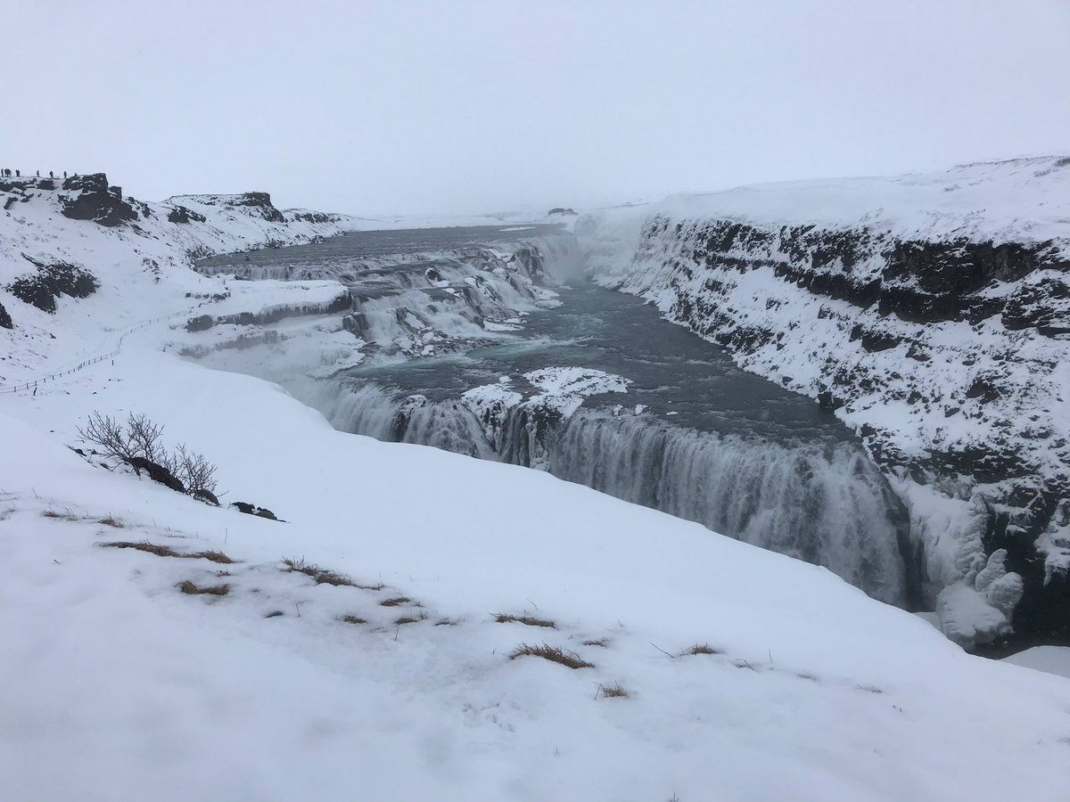 khemphillips's tweet photo. Day 2 in Iceland and we aren’t letting the rain and cold stop us! Geysers, rift valleys, tomatoes and horses! A little tectonic plate hopping is all in a day’s work. #waycoolscience #ghsrocks https://t.co/t1HQZ4iLHd