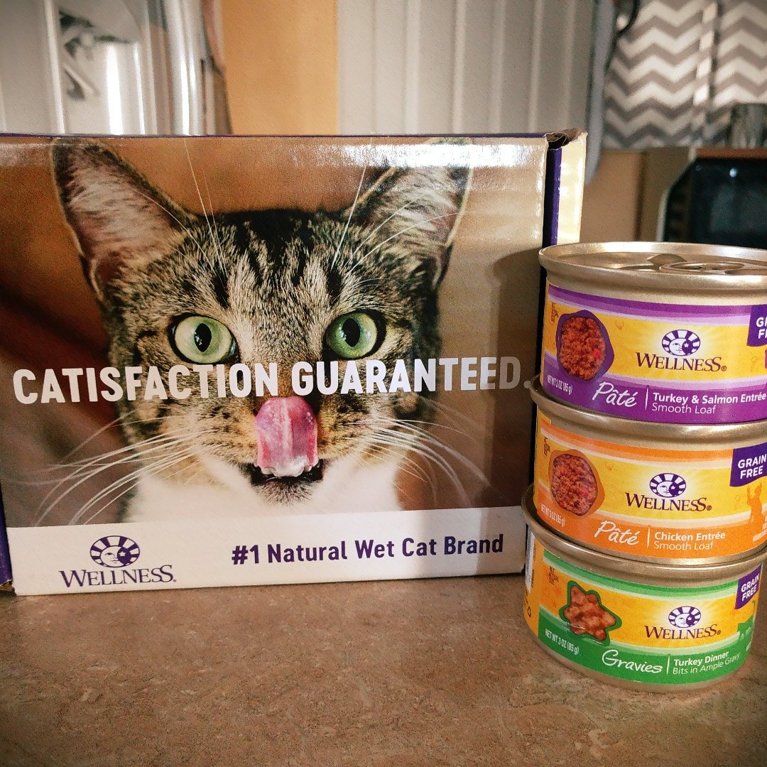 EmilyJean2012's tweet photo. I received the @wellnesspetfood #voxbox complimentary of @influenster ! My cats love food, this might be a fun one! https://t.co/WzEivOx62j