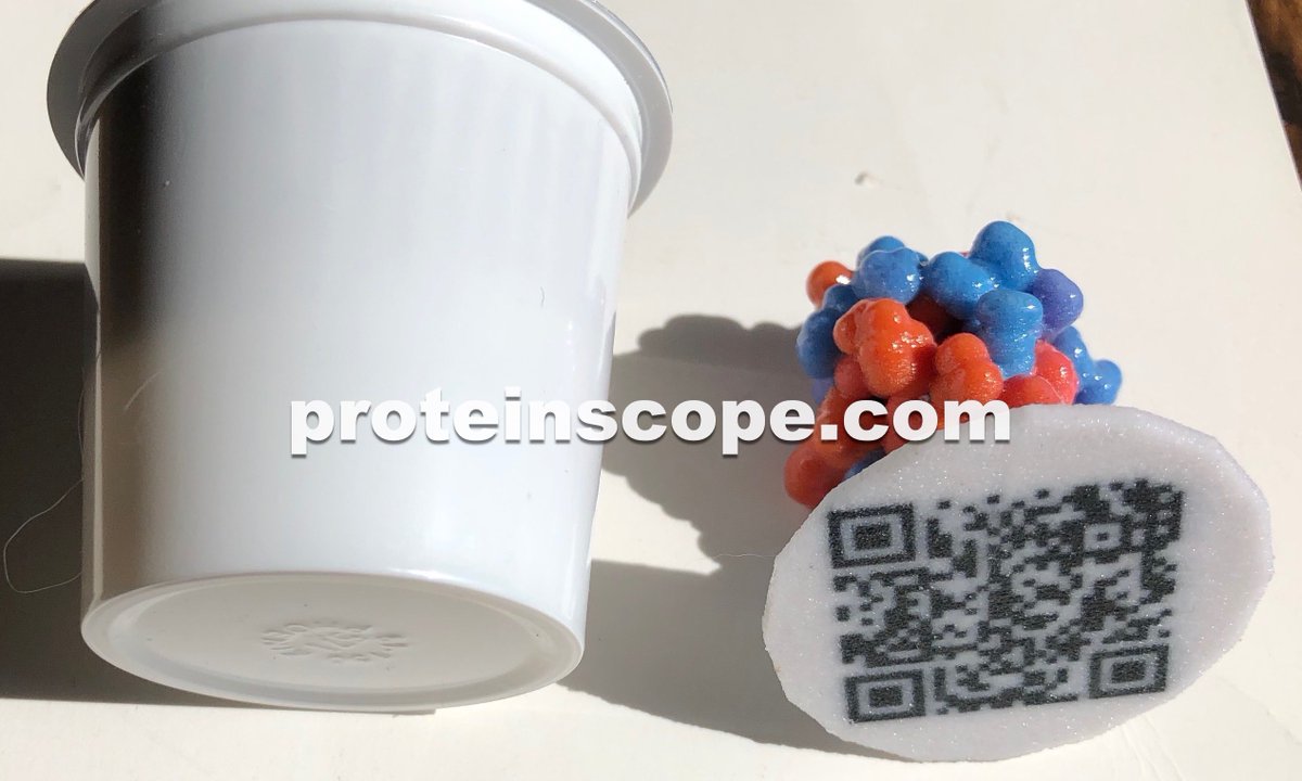 ProteinScope's tweet image. Latest 3D print of @buildmodels 9INS insulin #protein just arrived, glossy full color sandstone in the Hydrophobicity color scheme. #3DPrinted with the @shapeways @ShapewaysAPI 3D print ordering in ProteinScope for Mac, on the #MacAppStore now: uplink.to/psmac