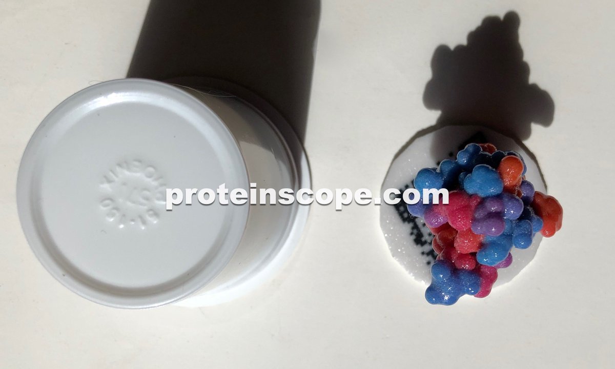 ProteinScope's tweet image. Latest 3D print of @buildmodels 9INS insulin #protein just arrived, glossy full color sandstone in the Hydrophobicity color scheme. #3DPrinted with the @shapeways @ShapewaysAPI 3D print ordering in ProteinScope for Mac, on the #MacAppStore now: uplink.to/psmac
