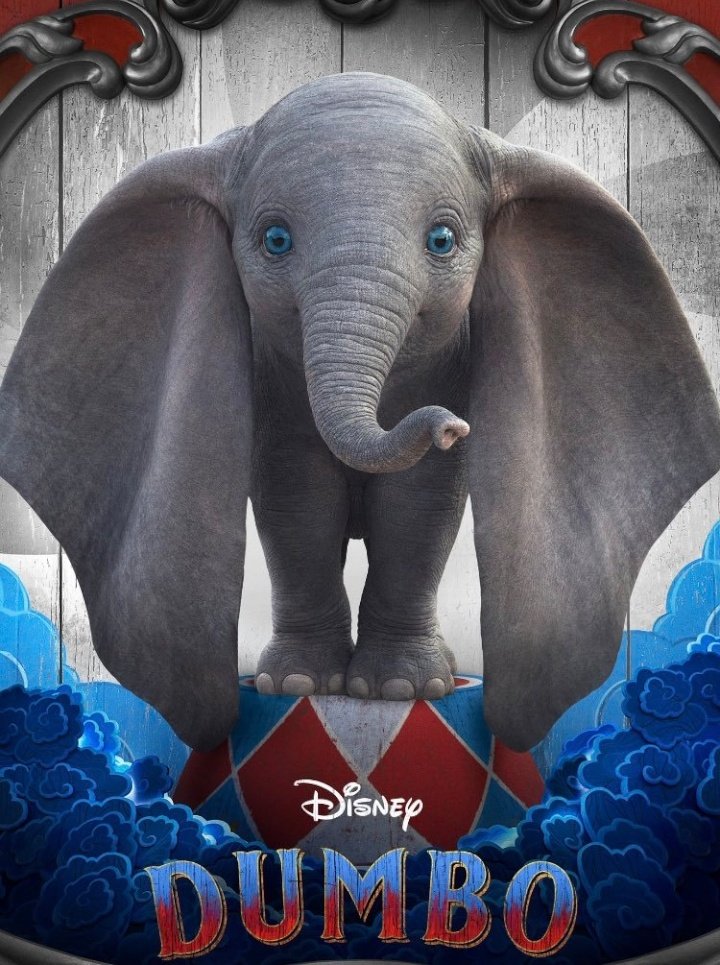 naganicol's tweet photo. 🙌Amigos 🙌@Daniel_McDean @briesgamb @Valdedrama @guapacho el próximo sábado estaremos en modo #Dumbo 🎟🎪🐘 #DumboCol gracias a
@Insiders_Co y @cinecolor_films https://t.co/Xfzy5BAyx4