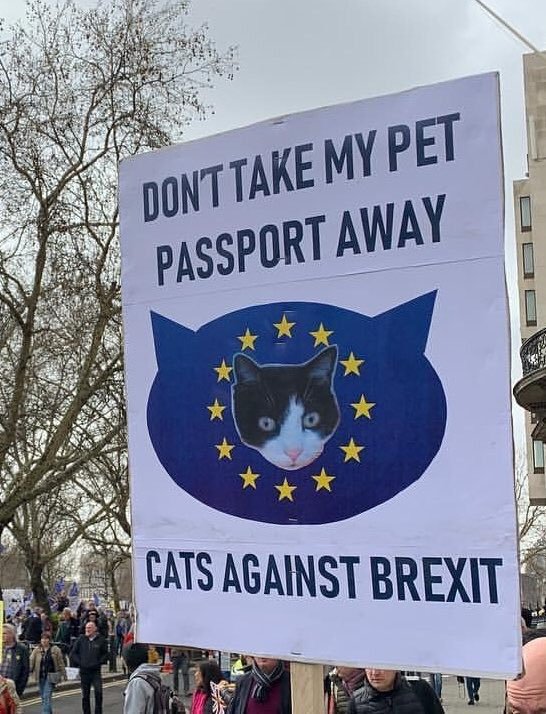 Timpetu Lunchalot 🇪🇺💚🔴🇺🇦 tweet media